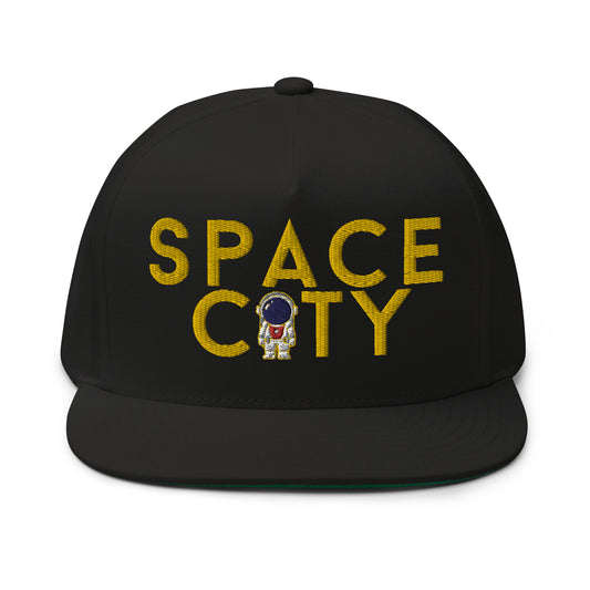 Space City Flat Bill